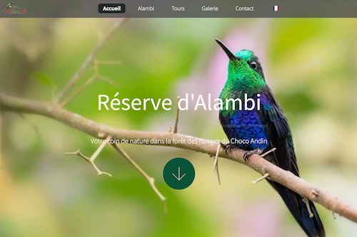 Alambi Reserve - Design and complete development of the website, translation and social marketing