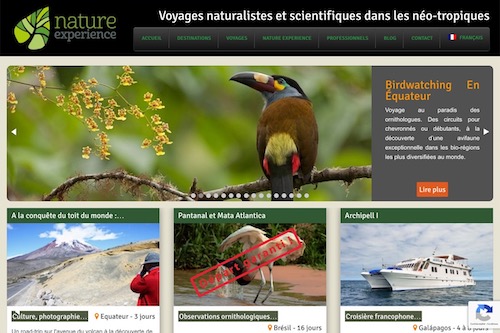 Nature Experience Group - Website, content management and social marketing